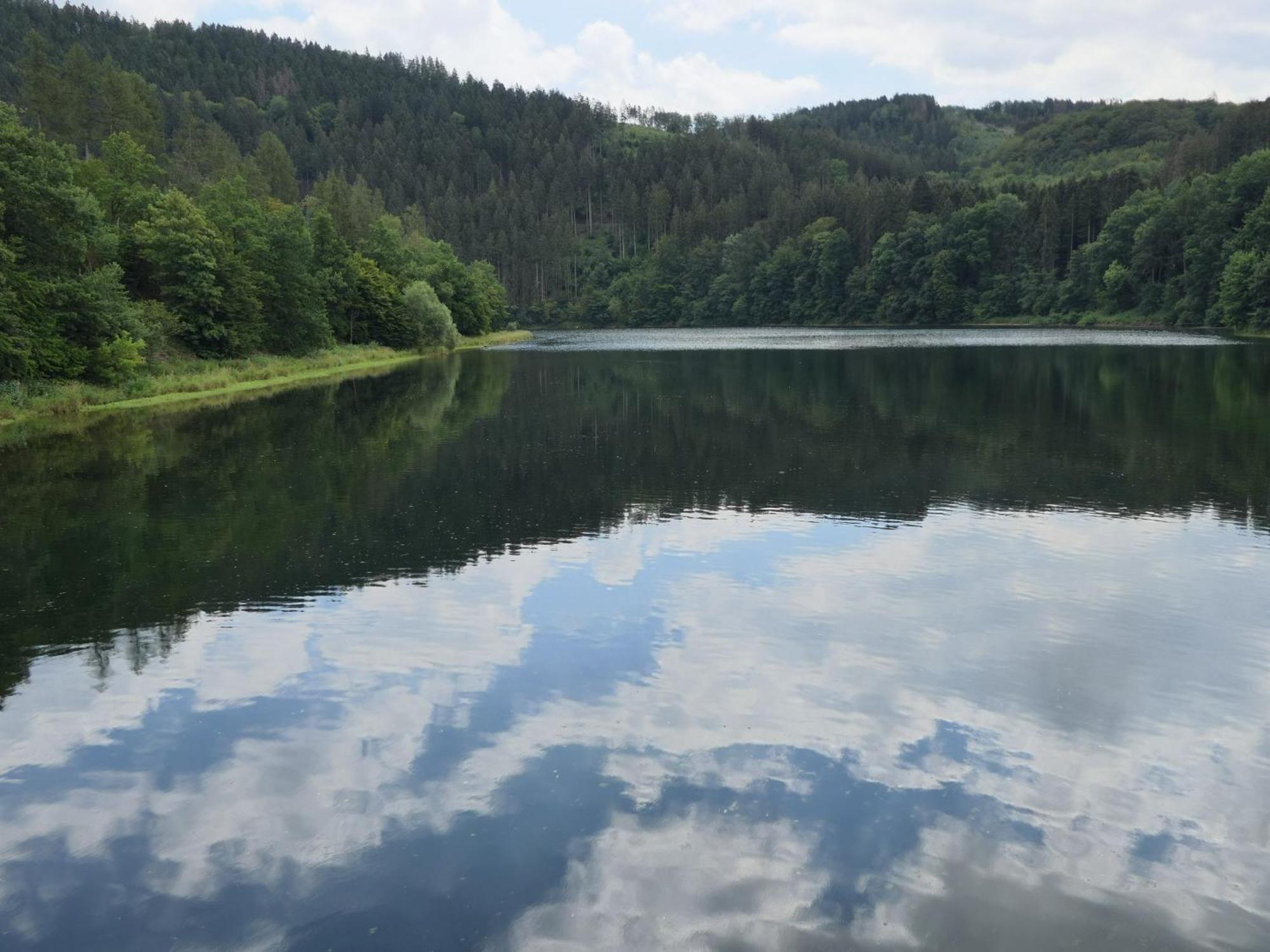 Fewo-Rosenberger-Sauerland Lennestadt Dış mekan fotoğraf